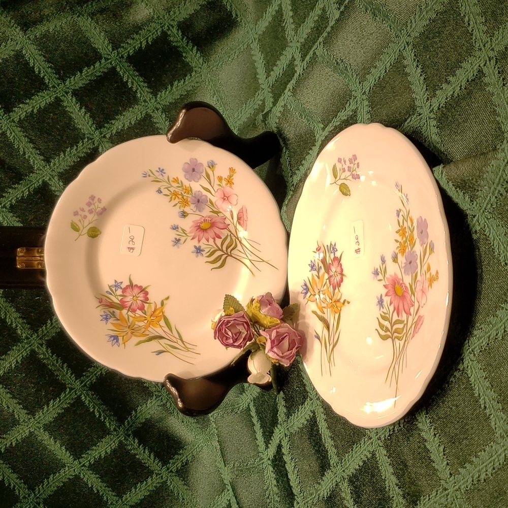 PAIR of Enchanting SHELLEY DESSERT PLATES "Wild Flowers" #13668 euc